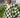 checkred kaftan
